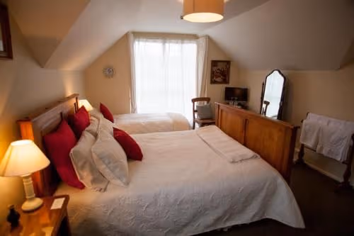 Deluxe Double or Twin Room