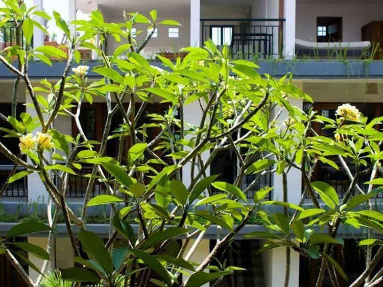 Nani House 2 Nani House 2