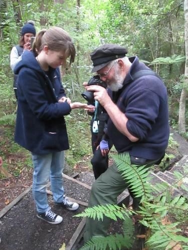 Kowhai Lane Lodge3