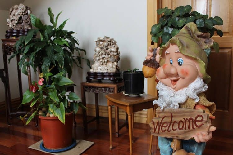 Shamrock Garden B&B Airport0
