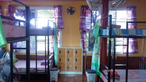 Bunk Bed in Mixed Dormitory Room