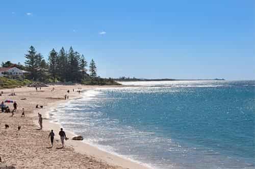 Norfolks on Moffat Beach Resort