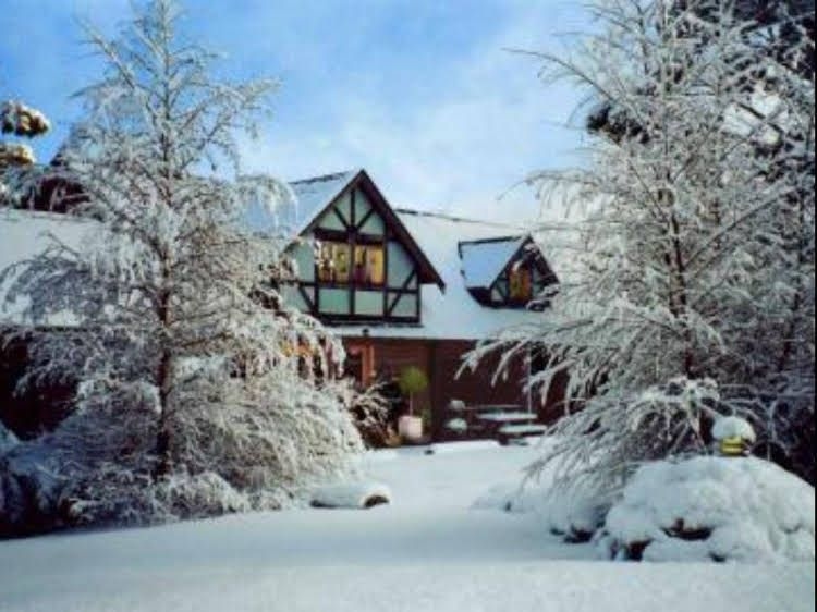Cradle Chalet4