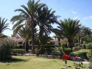 Sun Club Premium Playa del Ingles Sun Club Premium Playa del Ingles