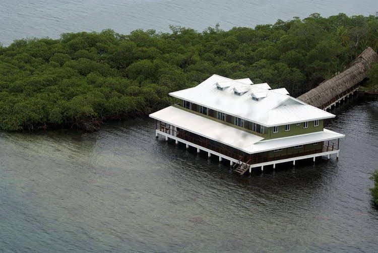 Hotel Laguna0