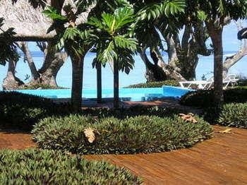 Maui Palms4