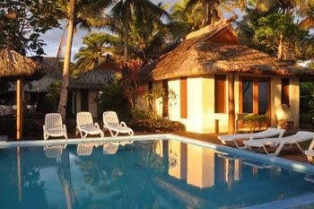 Maui Palms2