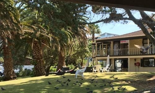 Half Moon Bay Motel1
