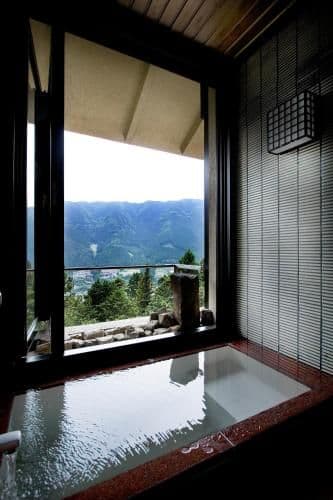 Japanese-Style Room with Hot Spring Bath - Annex - Non-Smoking