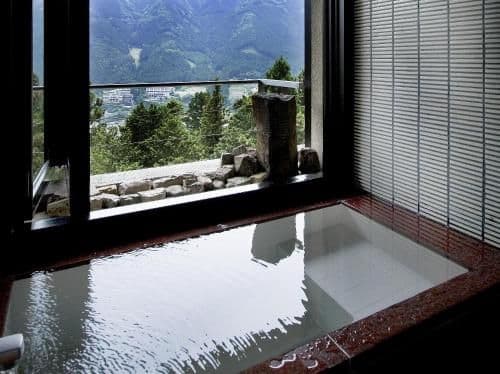 Japanese-Style Room with Hot Spring Bath - Annex - Non-Smoking