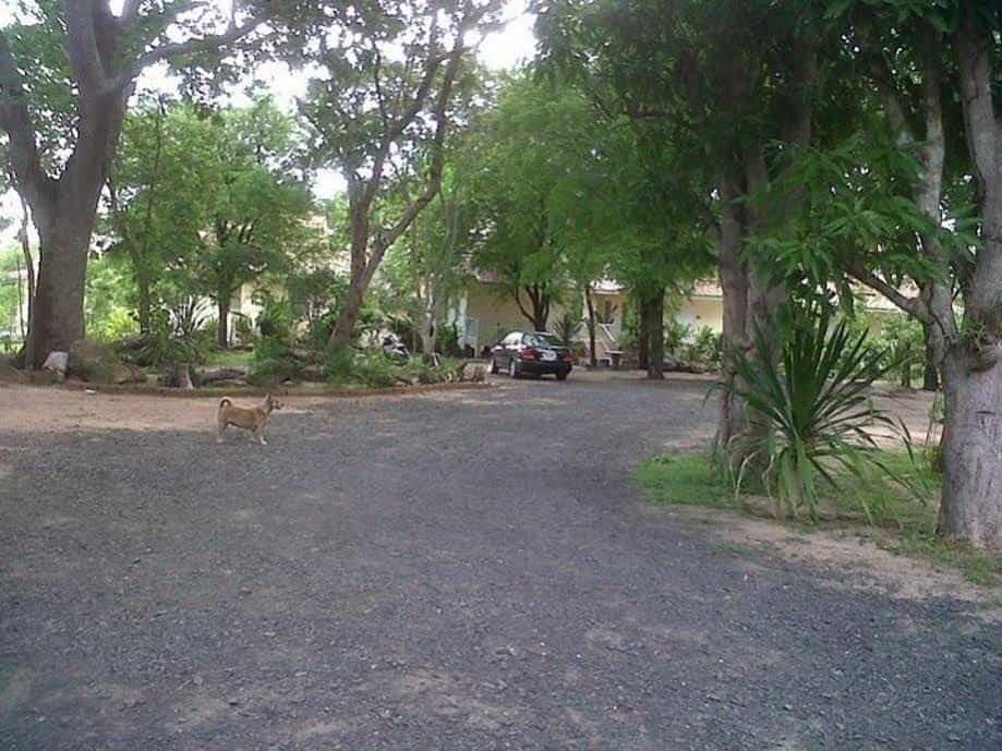 Taramaya Resort Taramaya Resort