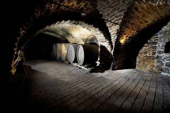 Winzerzimmer - Weingut Tinhof0