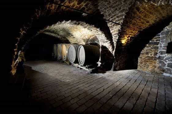 Winzerzimmer - Weingut Tinhof