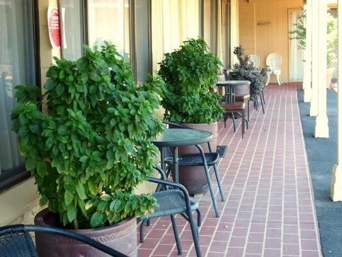 Murray River Motel1