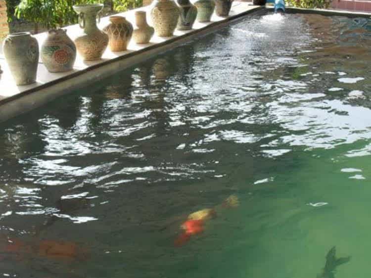 Jutamard Khaoyai Resort