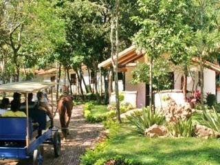 Biocentro Guembe4