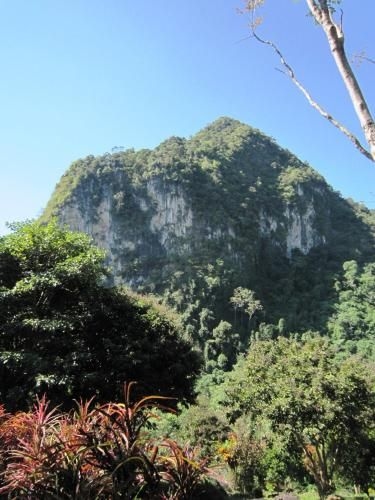 พนมเบญจา เมาท์เท่น รีสอร์ท (Phanom Bencha Mountain Resort)2