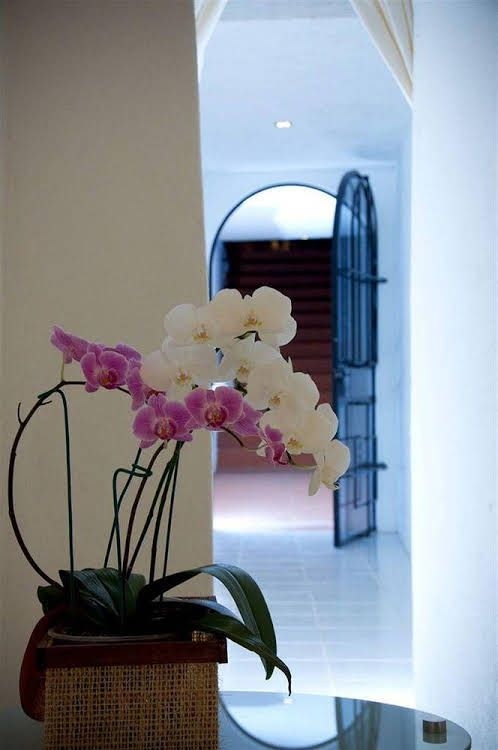 Colibri Hotel B&B0