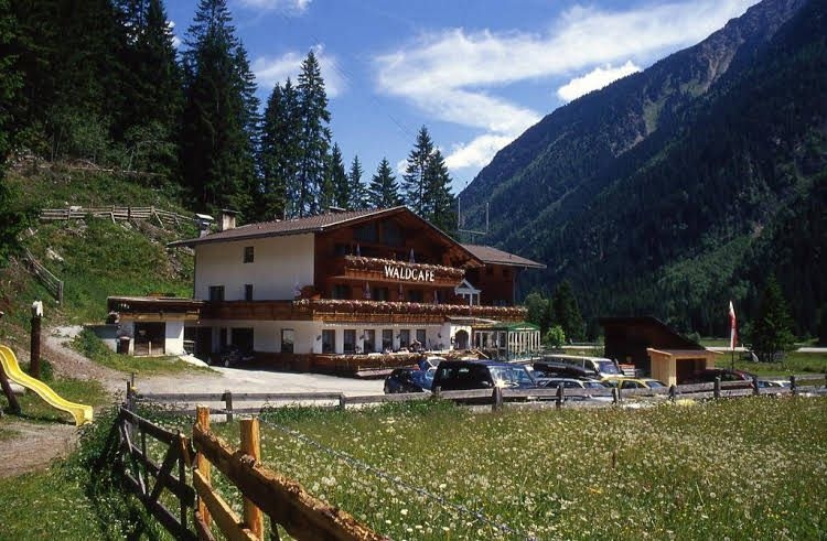 Hotel-Gasthof Waldcafe0