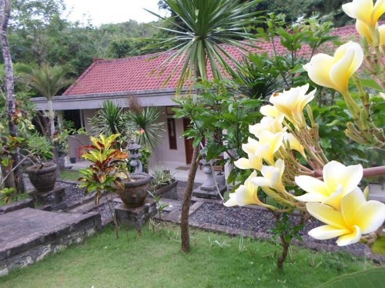 Belong Bunter Homestay4