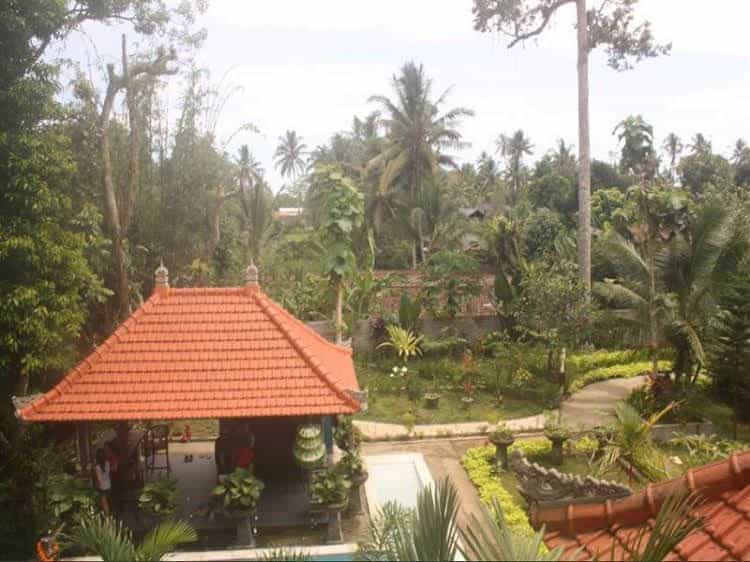 Frog Villa Bali Frog Villa Bali