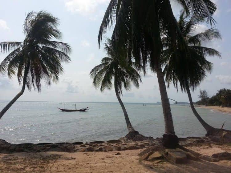 One More Night Beach Resort One More Night Beach Resort