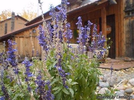 Silver River Adobe Inn Bed and Breakfast2