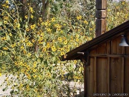 Silver River Adobe Inn Bed and Breakfast1