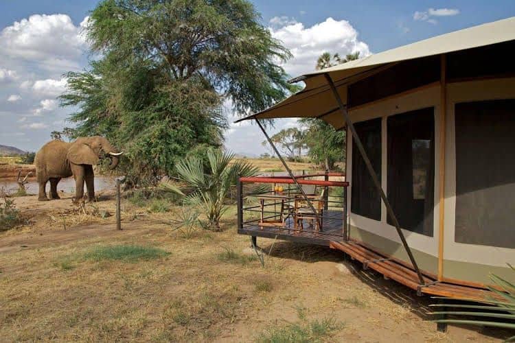 Ashnil Samburu Camp Ashnil Samburu Camp