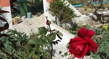 Nikos Studios3