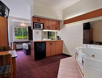 Microtel Inn And Suites by Wyndham Mesquite/Dallas4