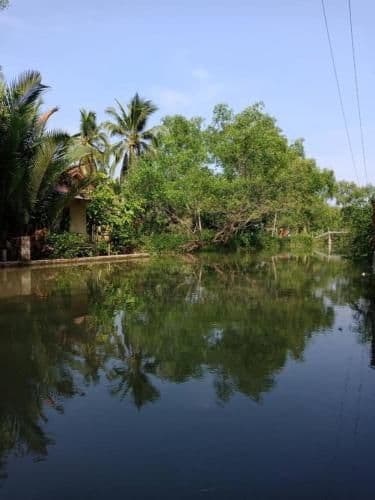 Superior Double Room with Canal View