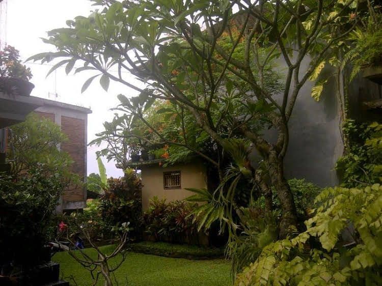 Candra Asri Bungalow Candra Asri Bungalow