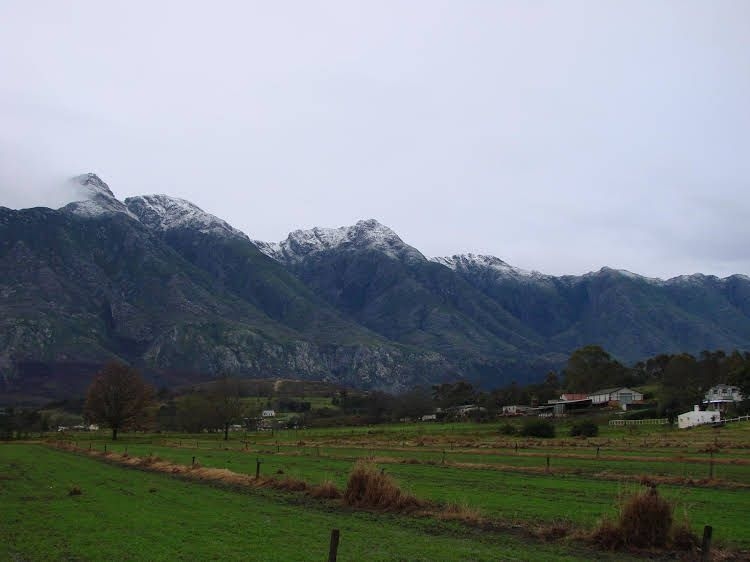 Wildebraam Berry Estate0