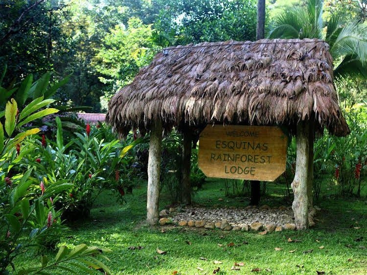 Esquinas Rainforest Lodge0