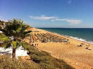 Solgarve1