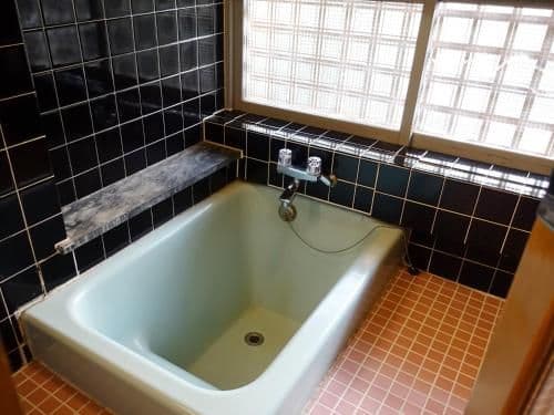 Japanese-Style Standard Room with Garden View