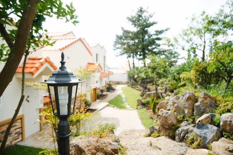 Memory In Jeju2
