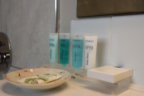 Deluxe Studio with Spa Bath