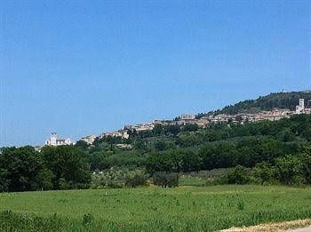 B&B All’Ombra di San Damiano1
