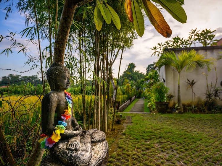 The Pandan Tree Villas The Pandan Tree Villas