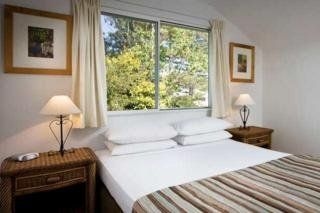 อีโค บีช รีสอร์ต (Eco Beach Resort)0