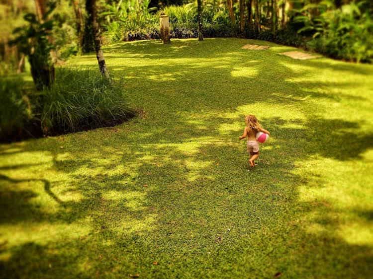 Villa Naga Ubud Villa Naga Ubud