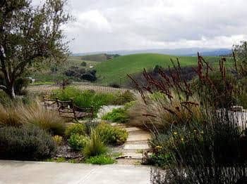 Croad Vineyards - The Inn Croad Vineyards - The Inn