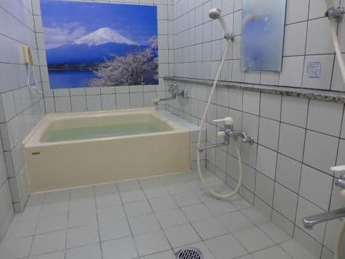 Japanese-Style Economy Twin Room with Shared Bathroom
