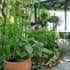 Coral Sea Retreat Bed and Breakfast