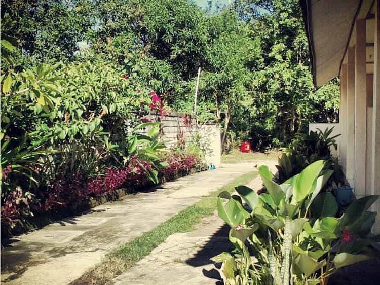 Bali Natural Homestay Bali Natural Homestay