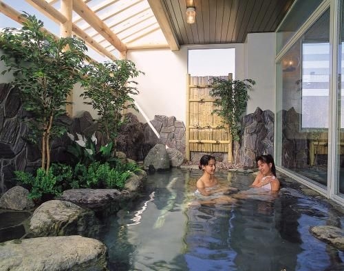 โรงแรม ยูซาวา ยูซาวา เด็งกิยะ (Hotel Yuzawa Yuzawa Denkiya)0