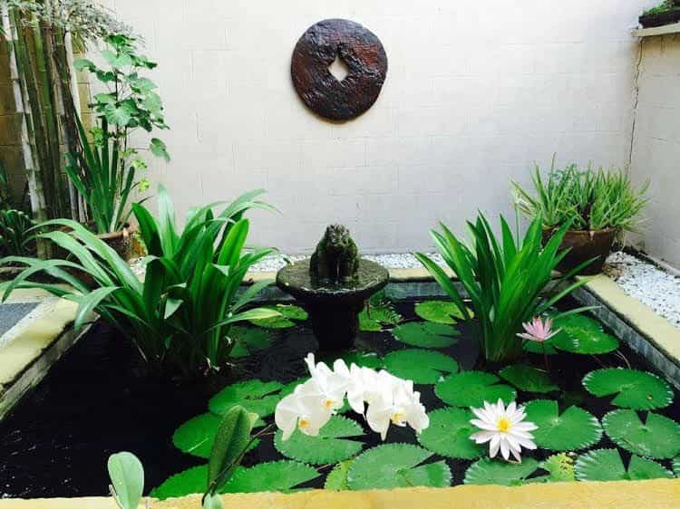 Villa Plawa Asri Villa Plawa Asri