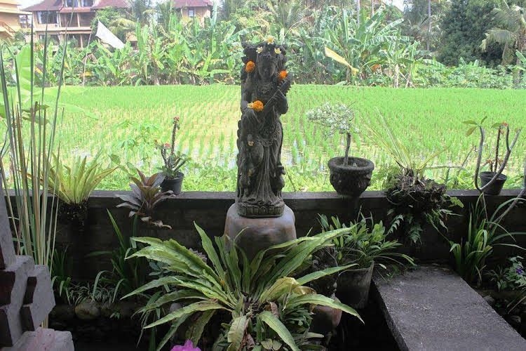 Ubud Sensasi3